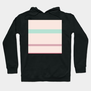 A cool commixture of Faded Pink, Light Blue Grey, Misty Rose and Carnation stripes. Hoodie